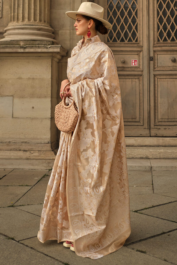 Dark Beige Lucknowi Chikankari Saree